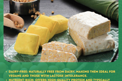 Brazil, Indonesia, and South Africa: The New Frontiers for Soy Dessert Market Players