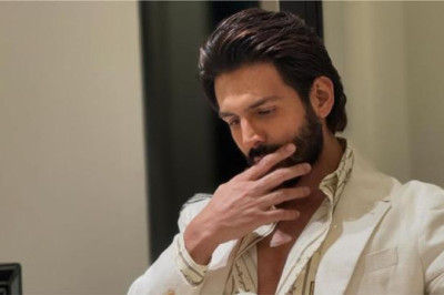 Kartik Aaryan & Mrighdeep Singh Lamba's Creature Comedy Title Teased – Rhymes with a Hollywood Hit